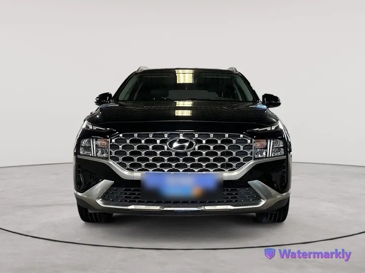 Hyundai SANTA — vue 2