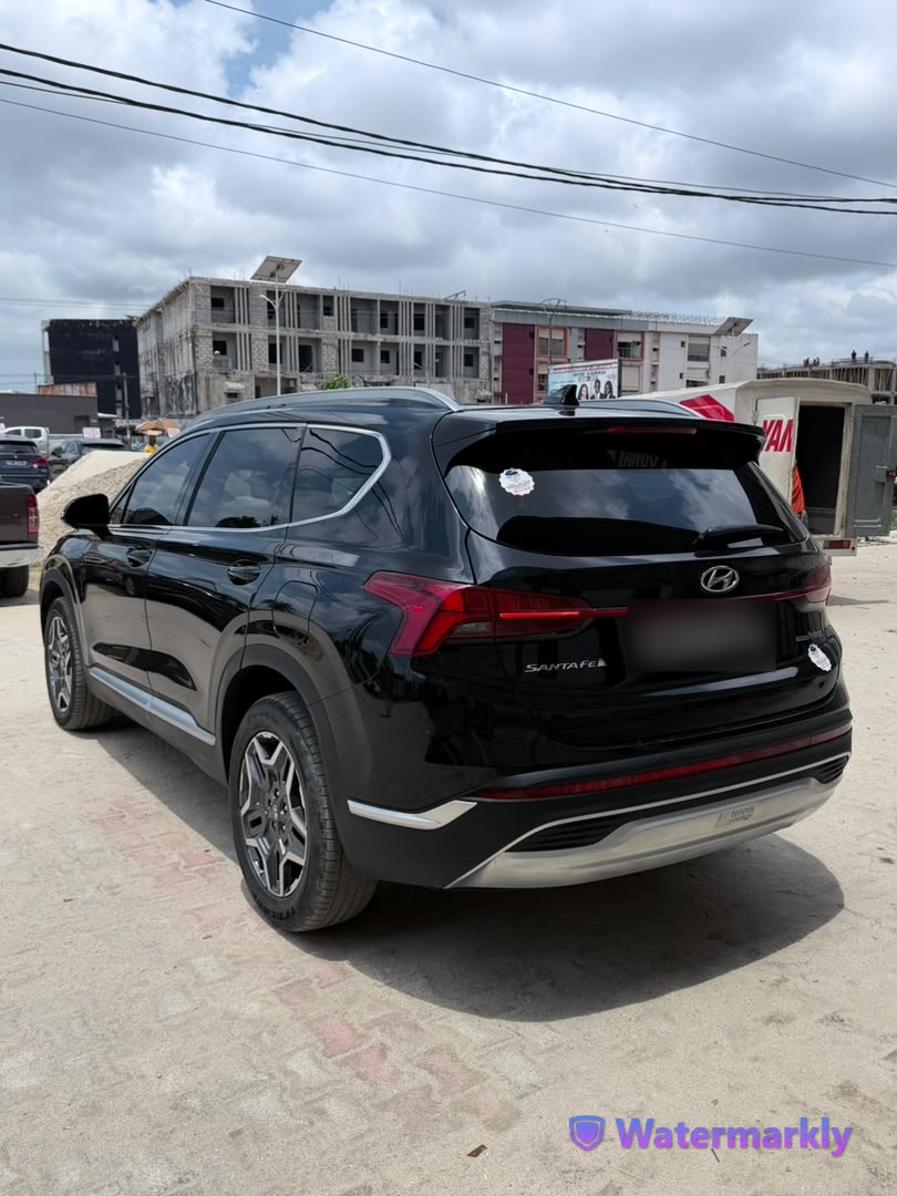 Hyundai SANTA FE — vue 2
