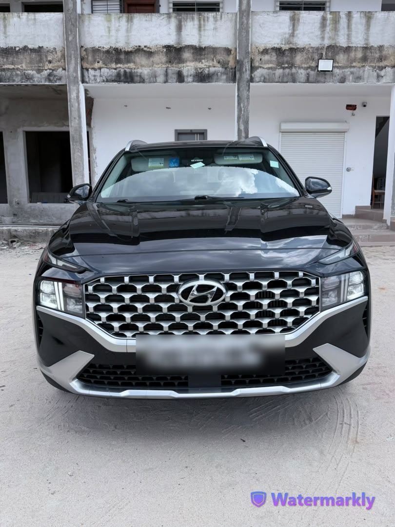 Hyundai SANTA FE — vue 1