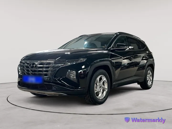 Hyundai TYCSON — vue 2